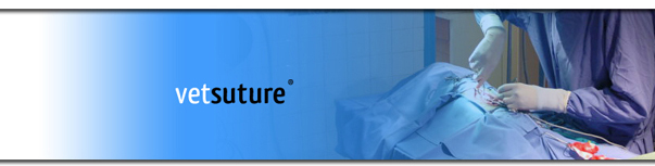 bienvenue sur notre site web VETSUTURE
