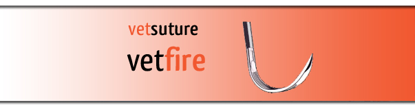 nos aiguilles VETFIRE sont tranchantes, solides et piquantes
